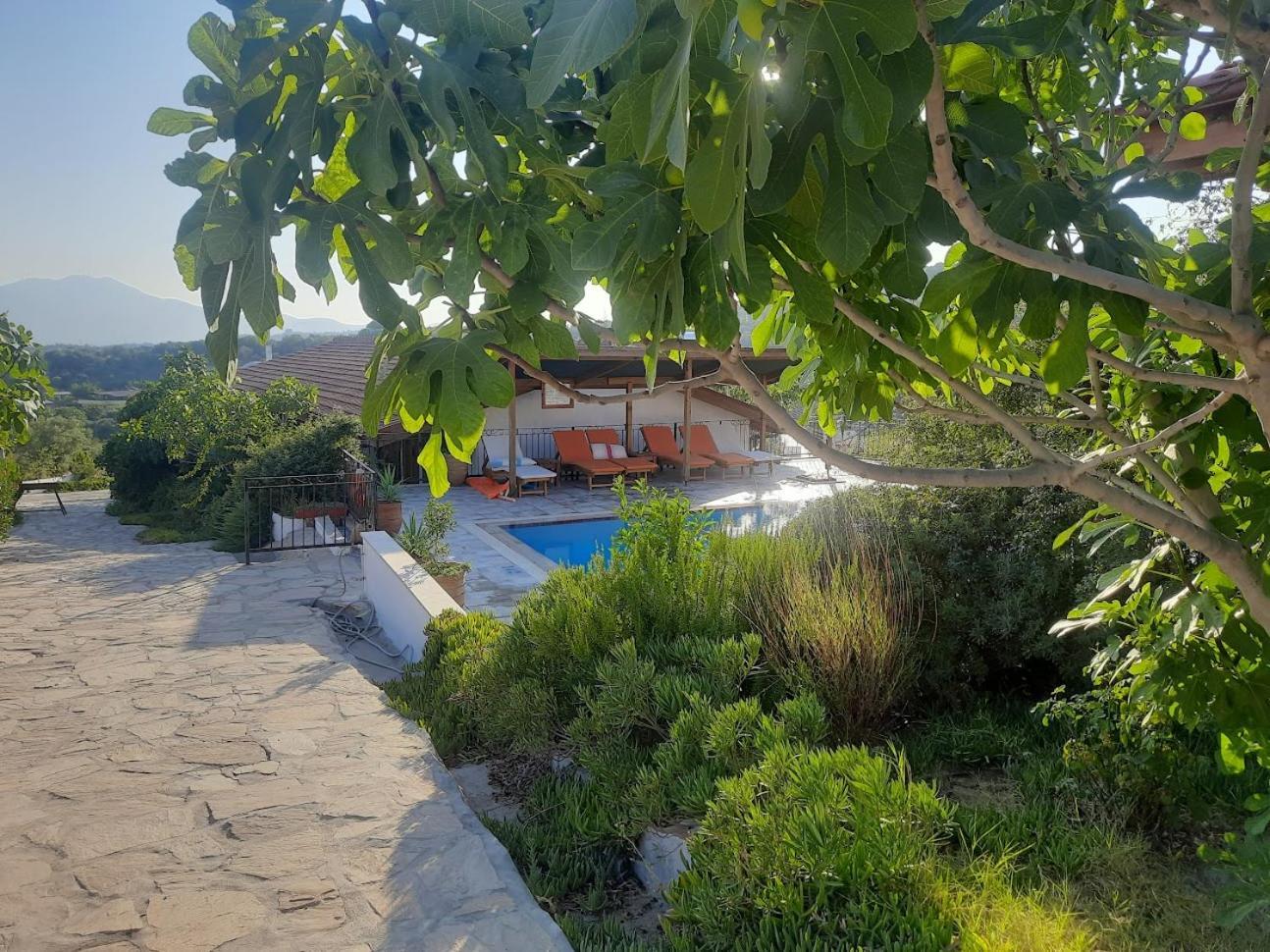 Ionia Guest House Aydin Exterior photo