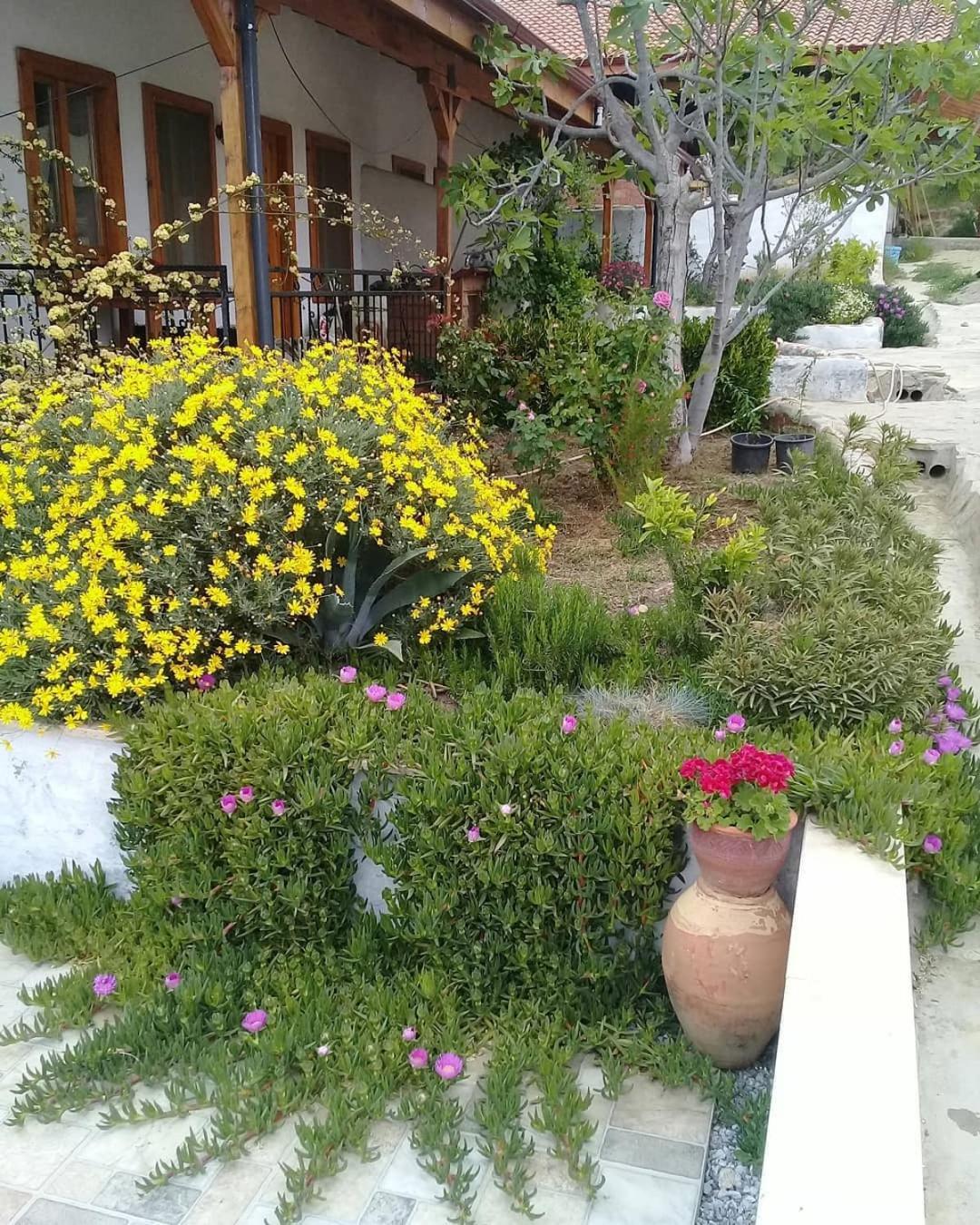 Ionia Guest House Aydin Exterior photo