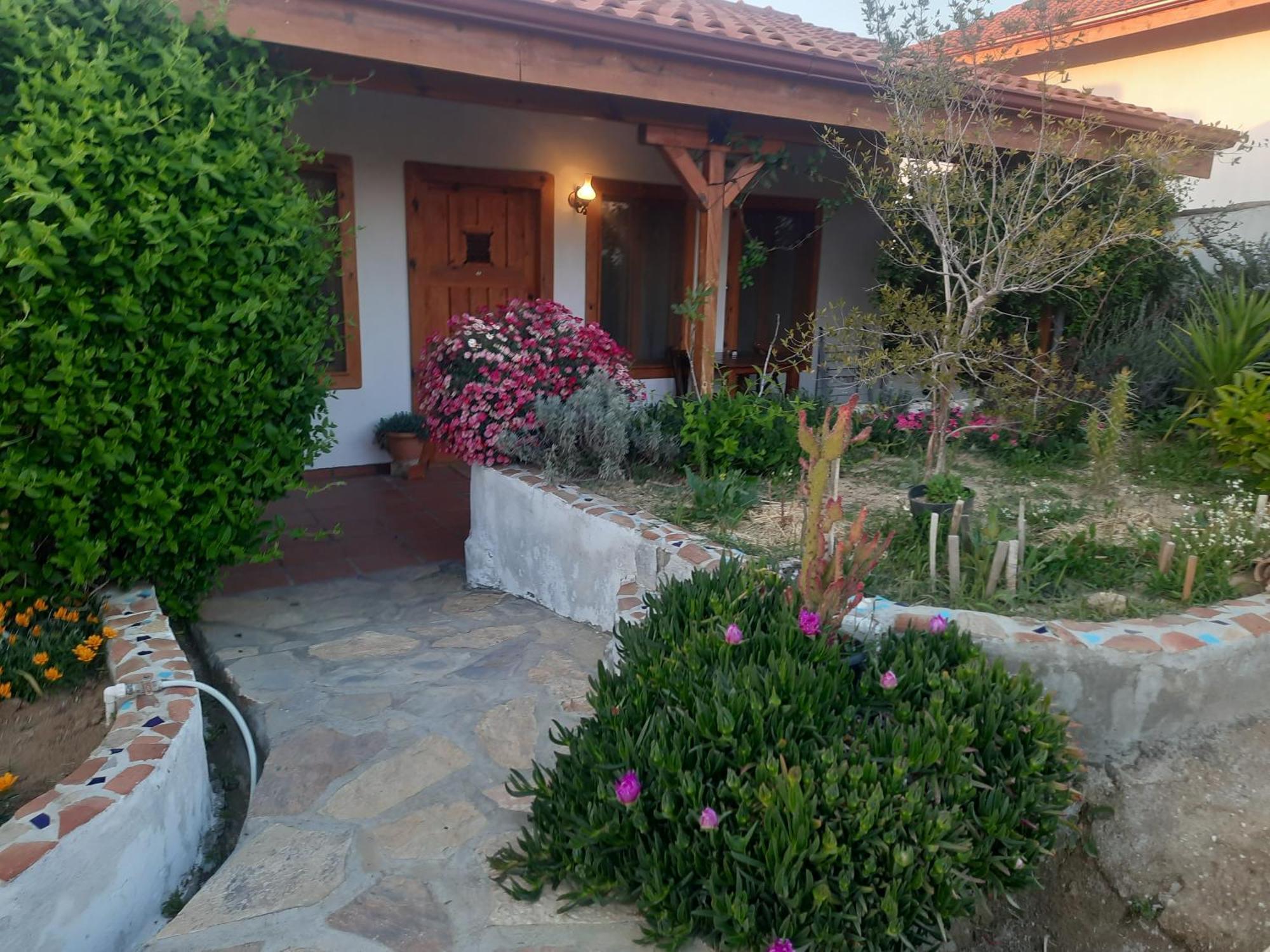 Ionia Guest House Aydin Exterior photo