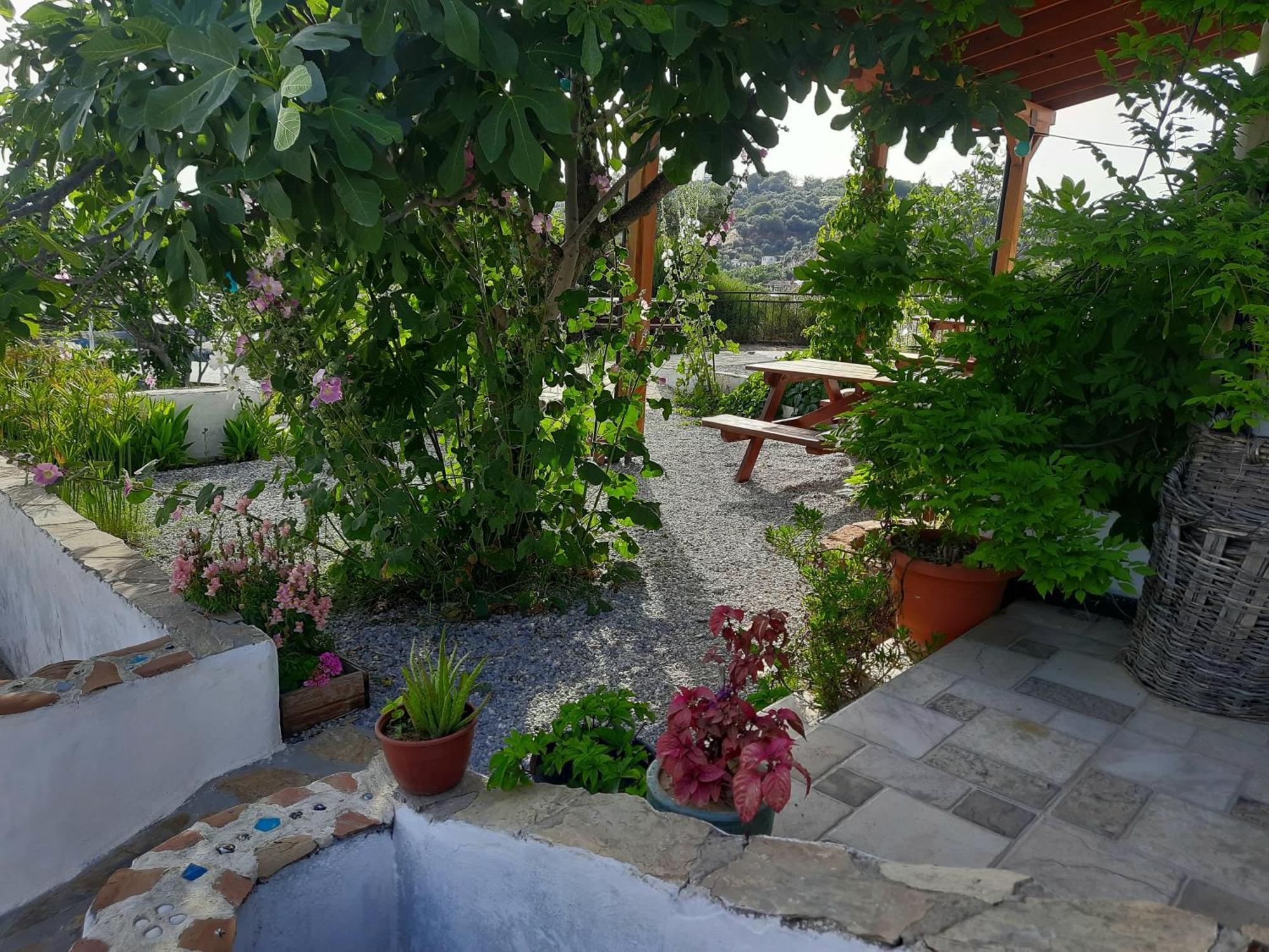 Ionia Guest House Aydin Exterior photo