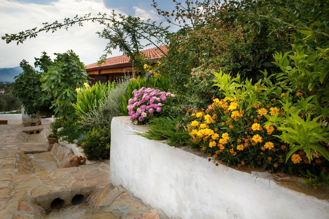 Ionia Guest House Aydin Exterior photo